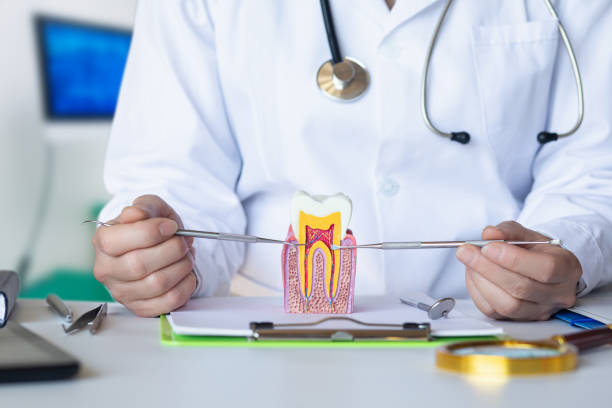 Best Knocked-Out Tooth (Avulsed Tooth) Treatment in Westport, NC